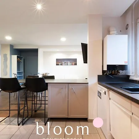 City Center For 6 Travellers Apartment Nancy